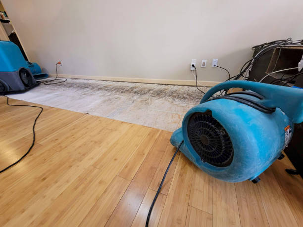 Professional Water Damage Repair technician working in Stockholm, NJ